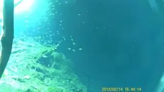 Mijangos, ScubaTulum Cenote Zacil Ha.