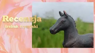 Recenzja #198 Źrebak fryzyjski Schleich Dalia |wycofana| 🐴