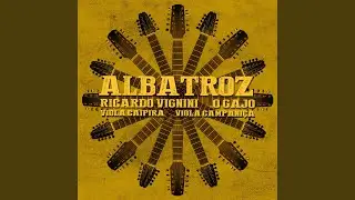 Albatroz