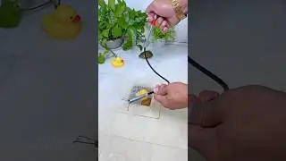 Drainage Pipe Cleaner Tool #PipeCleaner #DrainCleaner #ClogRemover #HairClogTool #DrainCleaningTool