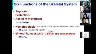 BIOL430 Fall21 Skeletal System Lecture 1