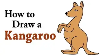 How to Draw Kangaroo Step by Step Easy