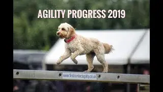 Agility progress 2019
