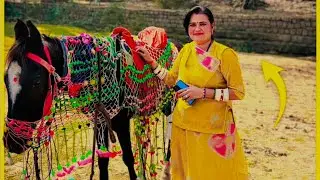 Sundha Mata Mandir Yatra | Hills Top Temple Vlog