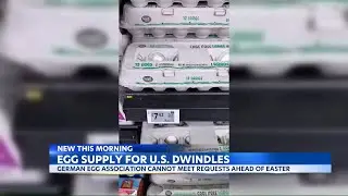 Egg shortage worsens as Germany halts exports to US