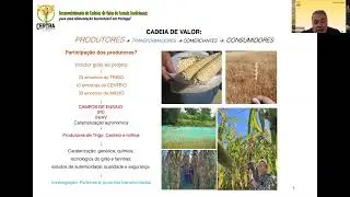 CerTra: Valorização dos Cereais Tradicionais com Luís Dias (IPB