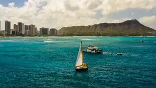 Oscar & Phoenix: Oregon to Hawaii