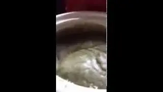Rosemary Mint HP Soap