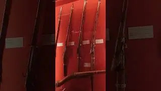 Albert Hall Museum Jaipur | Mummy in Albert Hall Museum #shorts