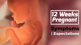 What to avoid at 12 weeks pregnant | Pregnancy Week By Week Symptoms