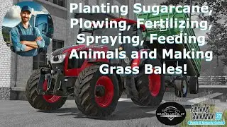 FS 23 - 393. Planting Sugarcane, Plowing, Fertilizing, Spraying, Feeding Animals and Making Grass ..