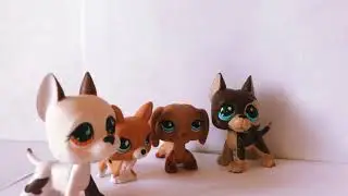 Lps-Drama Queen intro