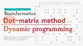 Bioinformatics| Dot Matrix Method and Dynamic Programming | Sequence Alignment