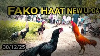 2026 NEW UPDATE FAKO HAAT