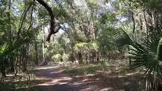 Bolen Bluff Trail