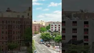 Discover The Bronx From Iconic Landmarks to Authentic New York Flavor