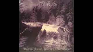 BT.HN. &lrm;&ndash; Burned Forest, Blackened Landscape