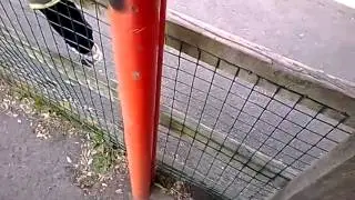 EPIC PARKOUR with Liam Budd