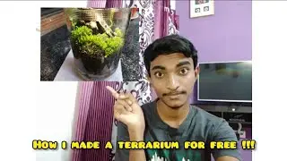 How I Made My Moss Terrarium For FREE ! | DIY TERRARIUM