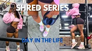 Filming At Golds Gym | Total Body Training | Meal Prep | High Protein Snack | SHRED SERIES EP 3