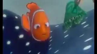 Alla ricerca di nemo anemone 1h