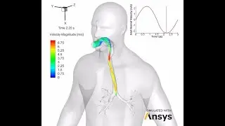 Facing COVID-19 Challenges: Inhalation and Drug Delivery
