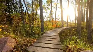 Playground & track at Detroit Mountain Recreation Area