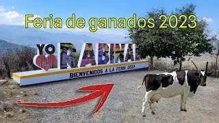 🐎🐄Feria de ganados en Rabinal Baja Verapaz, Guatemala.🐂😁