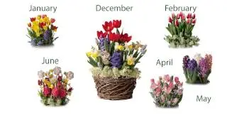 Six Months of Pre-Planted Flower Bulb Gift Gardens  SKU#8221 - Plow & Hearth