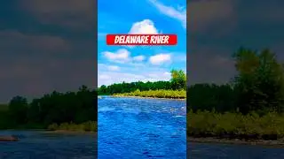 Delaware River Flowing Water Sound 🌊 #usa  #nature