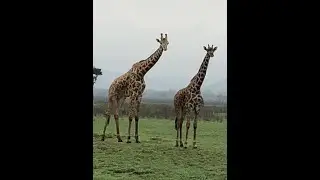 Rwanda Inspiration