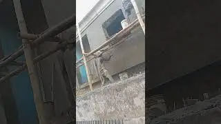 SHEGE BIY CONSTRUCTION