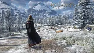 [4K] Snowy Winter Walk Through Hogwarts Legacy | Ambience & Music