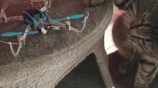 Chat vs Drone