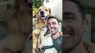 My dogs are selfie experts! #goldenretriever #dog #smile