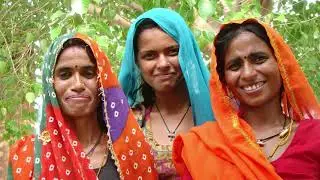 Comparative Analysis of Traditional Banking and Microfinance Institutions