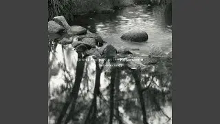 Resonance