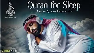 🔴 LIVE Surah Yaseen Surah Rahman Surah Mulk Surah Waqia | Full Quran Recitation