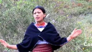 SAIRY - CAPULIS &Ntilde;AWI...OJITOS DE CAPULI