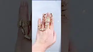 𝐋𝐢𝐧𝐤 𝐢𝐧 𝐁𝐢𝐨 - A sting of style!⁠ ⁠ Product: Scorpion Punk Crystal Ring⁠ ⁠ ▶️ No copyright intended