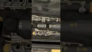 The Yamaha YCL-255 Student Clarinet 🎵