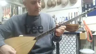 Ceviz kısa tam profesyonel bağlama 