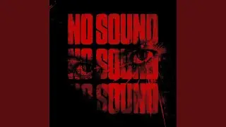 No Sound