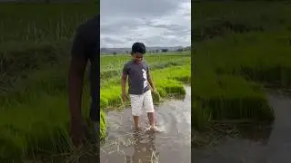 Be an optimisticFARMER #godgifts #cloudy #farm #paddy #farmlife #mokshithfarm #fivem #jes&uacute;s #vypシ #k