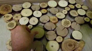 Стена из спилов дерева своими руками/DIY wall made of wood cuts