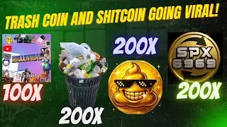 Trash coin and Shitcoin Going Parabolic! Millennial and SPX 6969 To Follow ?