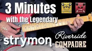 Modern Jazz Guitar Tone with Strymon Riverside & Compadre | Fender Strat+Band in a Box Backing Track