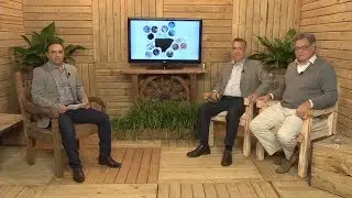 Engenharia em Madeira &ndash; Solu&ccedil;&otilde;es para o Presente - MS Florestal Online