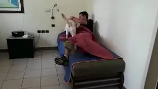 Service Dog disturbs a PTSD nightmare