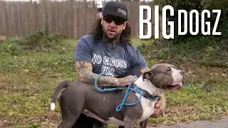 The MMA Fighter Saving New York's Pitbulls | BIG DOGZ